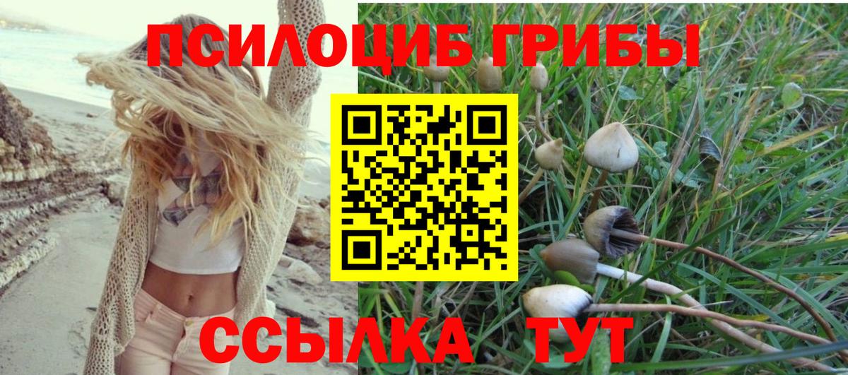 Солнечногорск  Псилоцибиновые грибы MAGIC MUSHROOMS  Вход с VPN  Галлюциногенные грибы ЛСД 